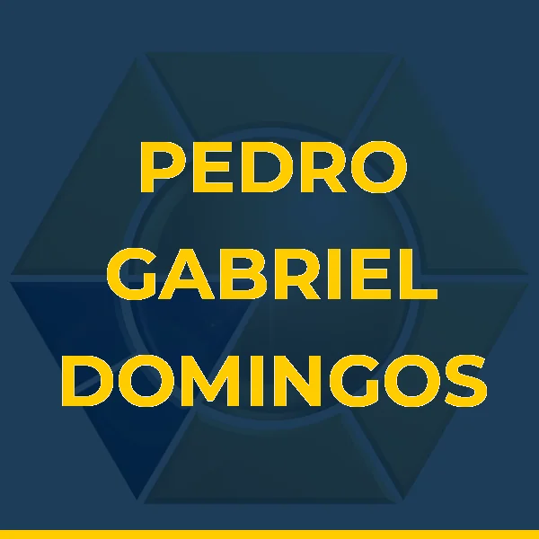 PEDRO GABRIEL DOMINGOS DA SILVA