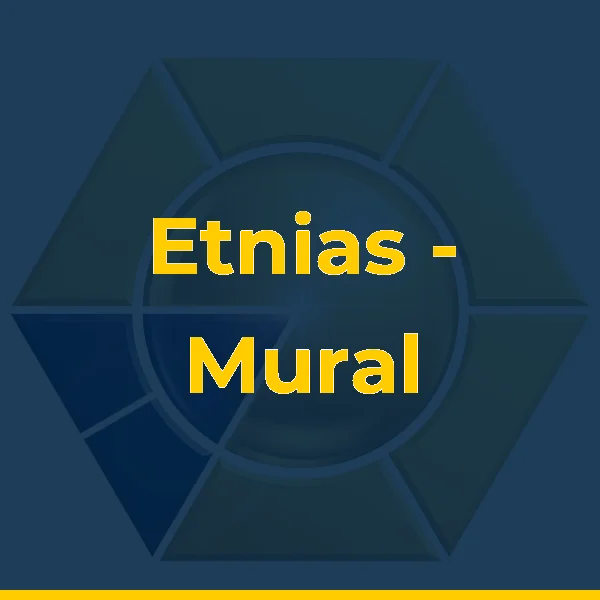 Etnias - Mural de Grafite (Estúdio Kobra)