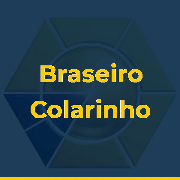 Logo de Braseiro Colarinho