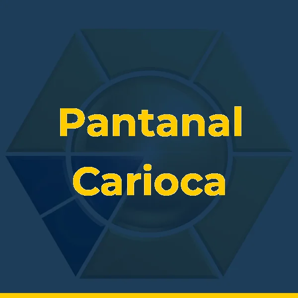 Logo de Pantanal Carioca