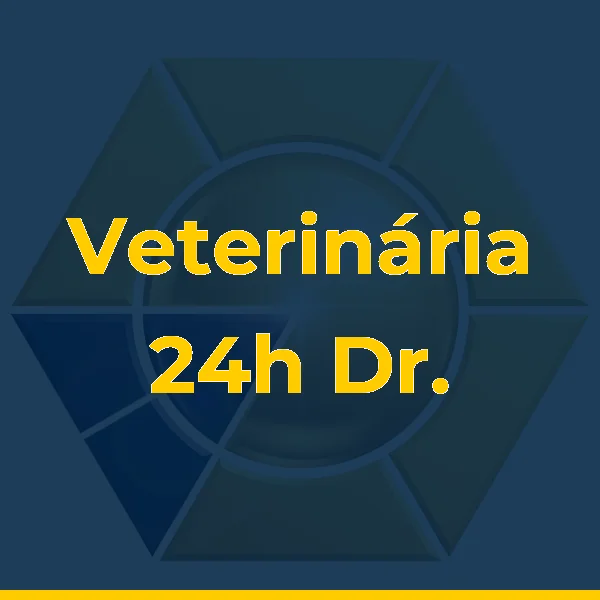 Logo de Veterinária 24h Dr. Alex Gloss