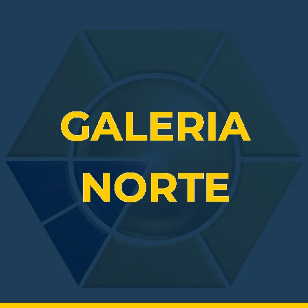 Logo de GALERIA NORTE