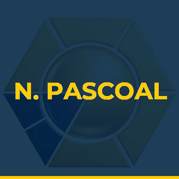 Logo de N. PASCOAL