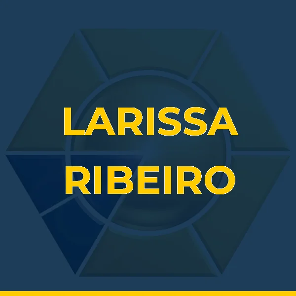 Logo de L C RIBEIRO LTDA