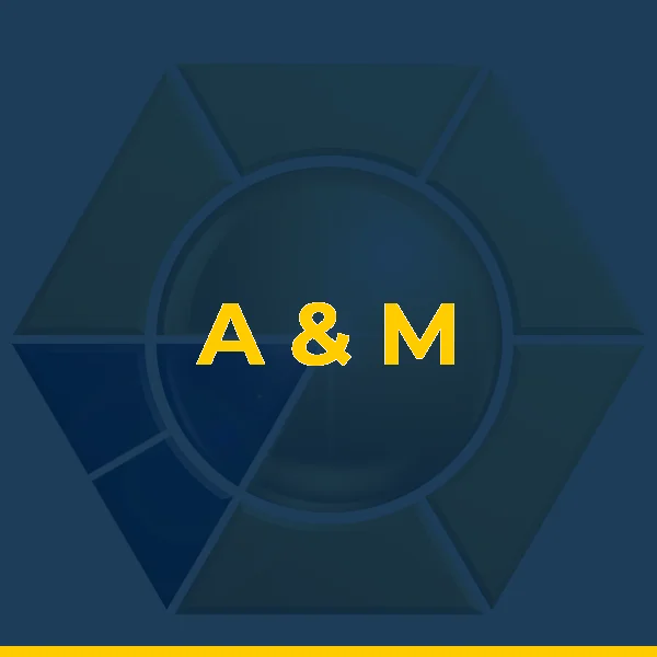 Logo de A & M RIBEIRO LTDA