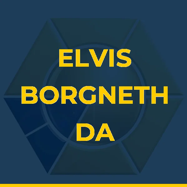 Logo de ELVIS BORGNETH DA SILVA MARINHO