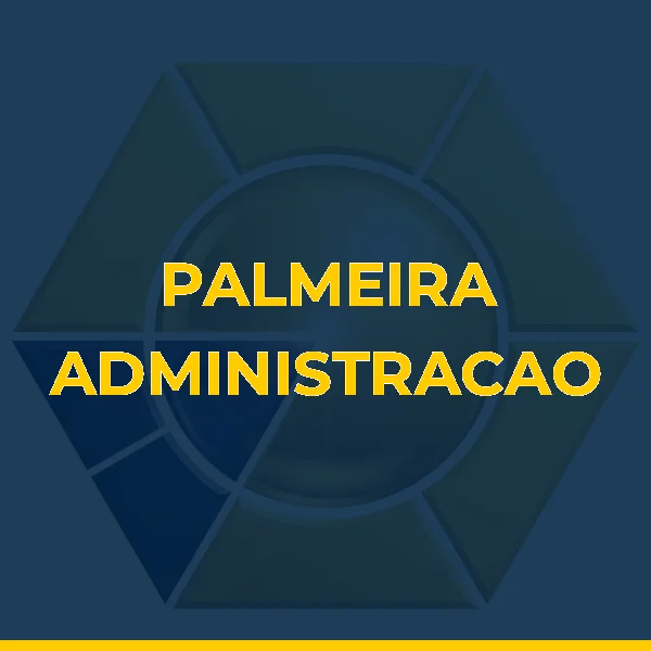 PALMEIRA ADMINISTRACAO COMERCIAL LTDA