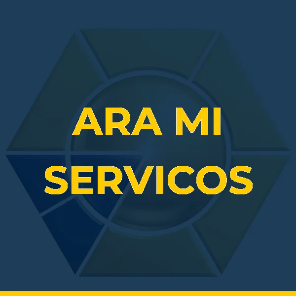 Logo de ARA MI SERVICOS DE APOIO ADMINISTRATIVO LTDA