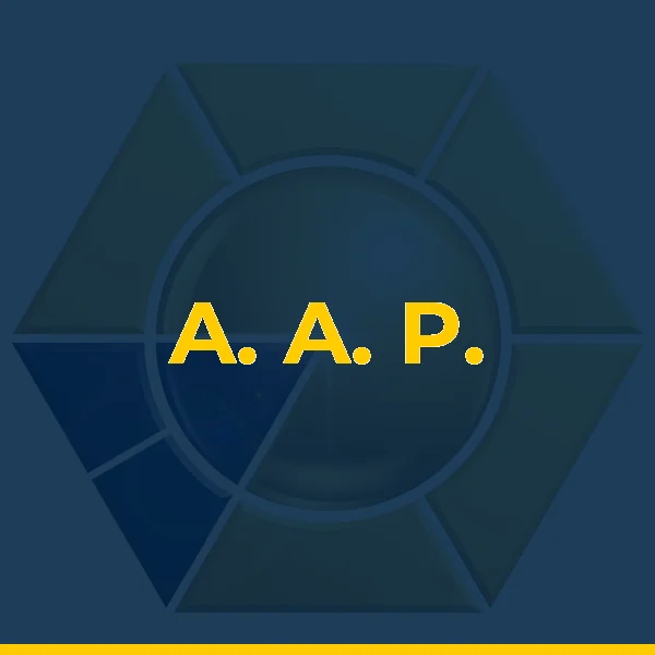 Logo de A. A. P. FERRAZ LTDA
