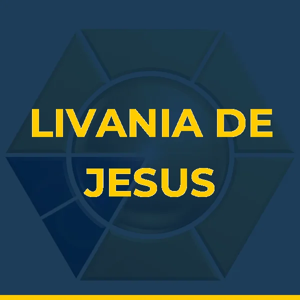 LIVANIA DE JESUS SILVA LTDA