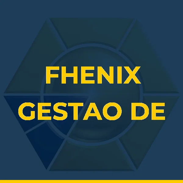 FHENIX GESTAO DE CONVENIOS LTDA