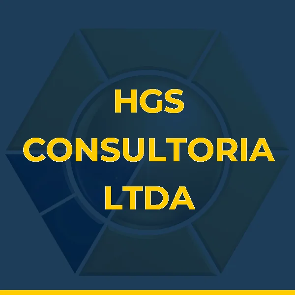 HGS CONSULTORIA LTDA