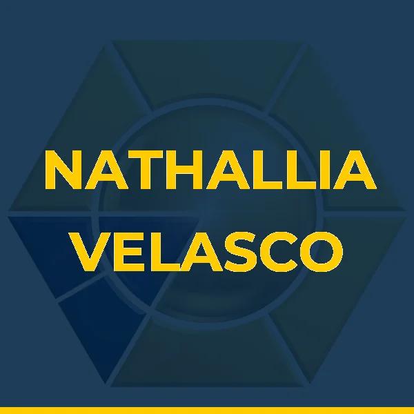 Logo de NV DESIGN LTDA