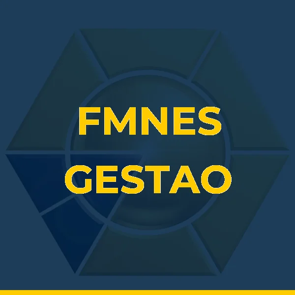 Logo de FMNES GESTAO LTDA