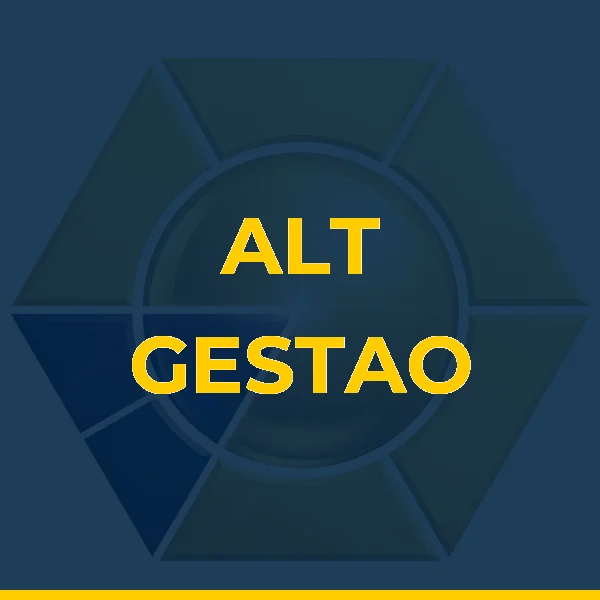 Logo de ALT GESTAO LTDA