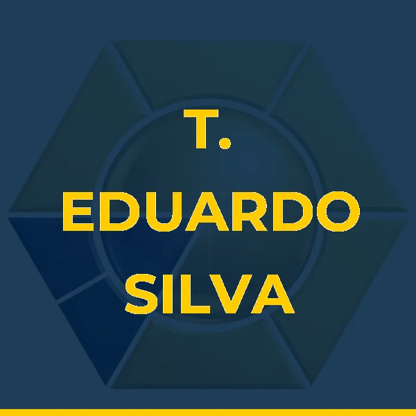 T. EDUARDO SILVA CHAVES LTDA