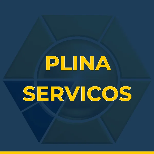 PLINA SERVICOS ADMINISTRATIVOS