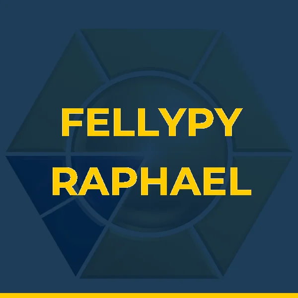 Logo de FELLYPY RAPHAEL ADM LTDA