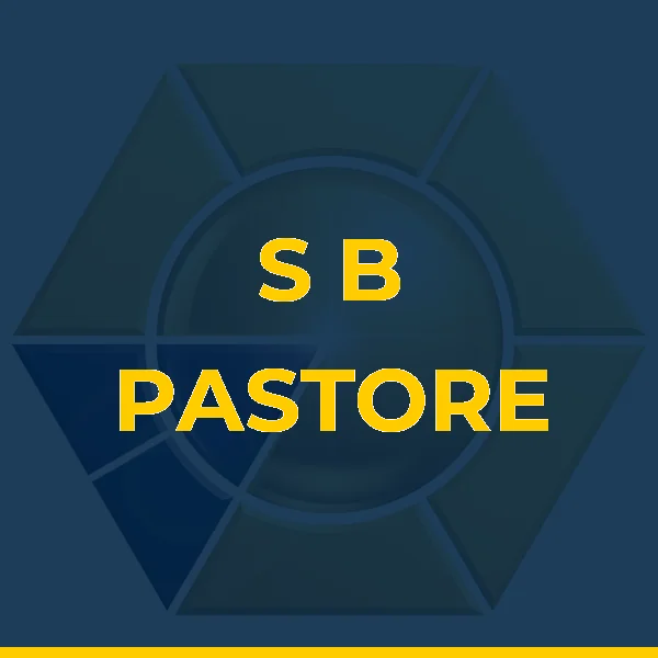 Logo de S B PASTORE SERVICOS MEDICOS LTDA
