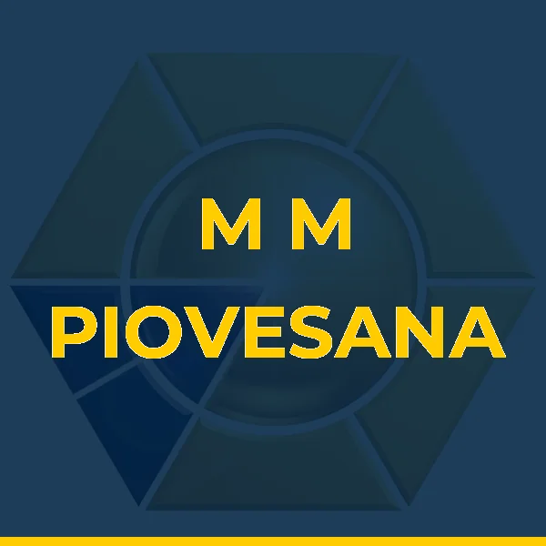Logo de M M PIOVESANA - SERVICOS MEDICOS LTDA