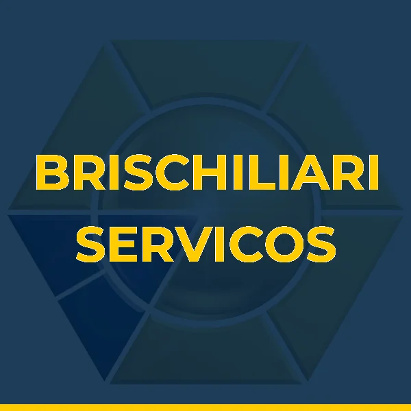 Logo de BRISCHILIARI SERVICOS MEDICOS LTDA