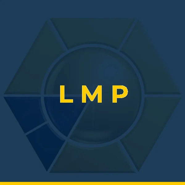 Logo de L M P ALVES