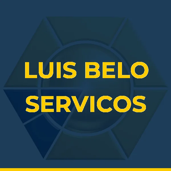 Logo de LUIS BELO SERVICOS MEDICOS LTDA