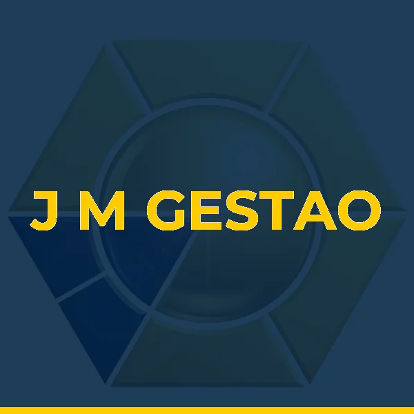 Logo de J M GESTAO FINANCEIRA LTDA