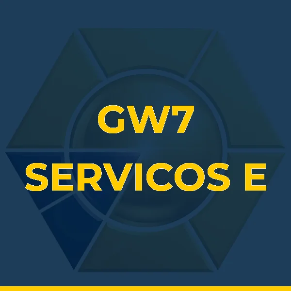 GW7 SERVICOS E CONSULTORIA LTDA