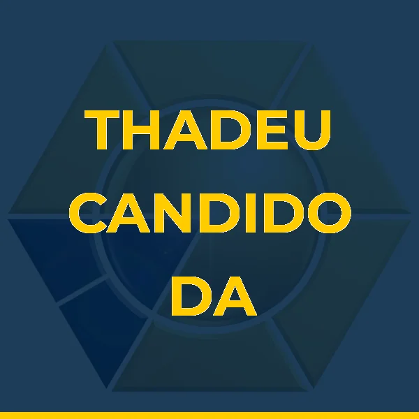Logo de THADEU CANDIDO DA ROCHA LTDA