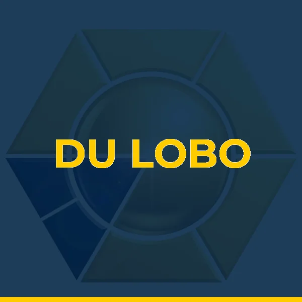 Logo de DU LOBO EMPREENDIMENTOS LTDA
