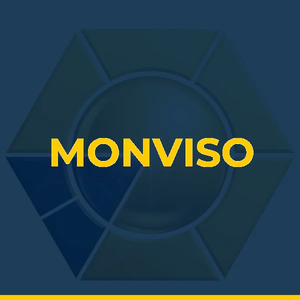 Logo de MONVISO