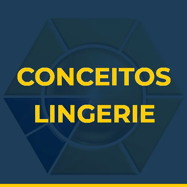 CONCEITOS LINGERIE