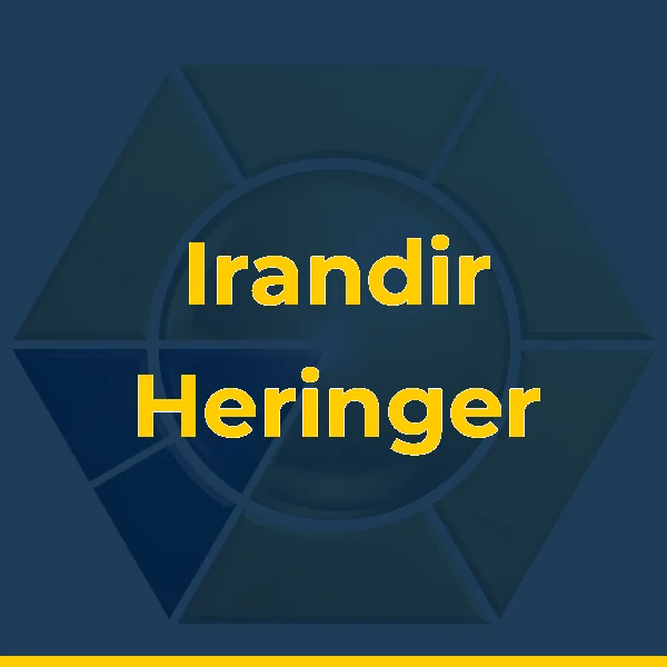 Logo de Irandir Heringer