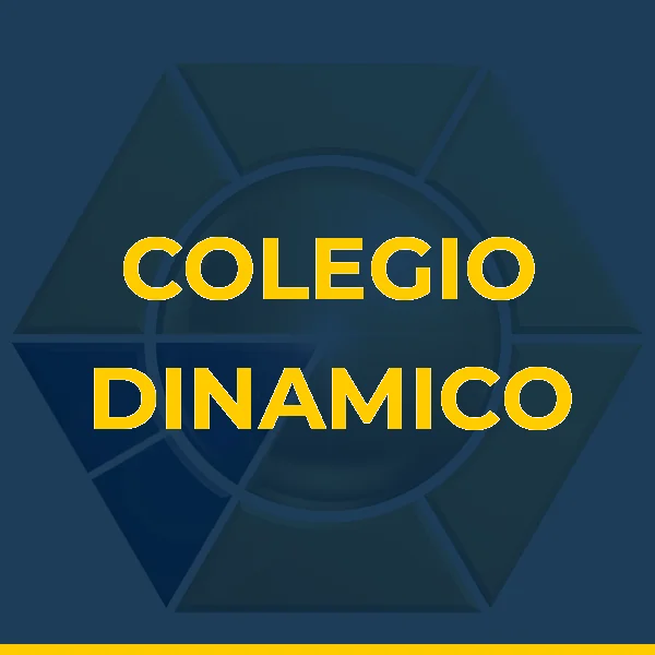 Logo de COLEGIO DINAMICO