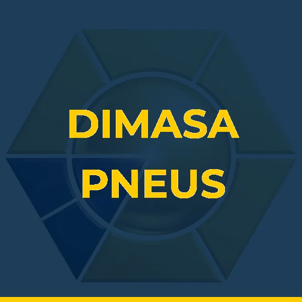 Logo de DIMASA PNEUS