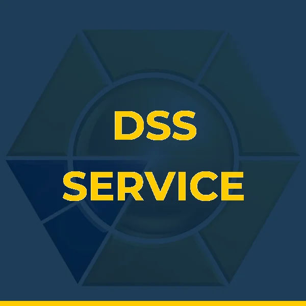 Logo de DSS SERVICOS ADMINISTRATIVOS LTDA