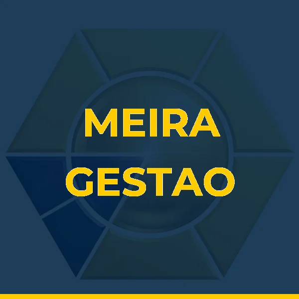 Logo de MEIRA GESTAO E LOCACAO DE VEICULOS LTDA