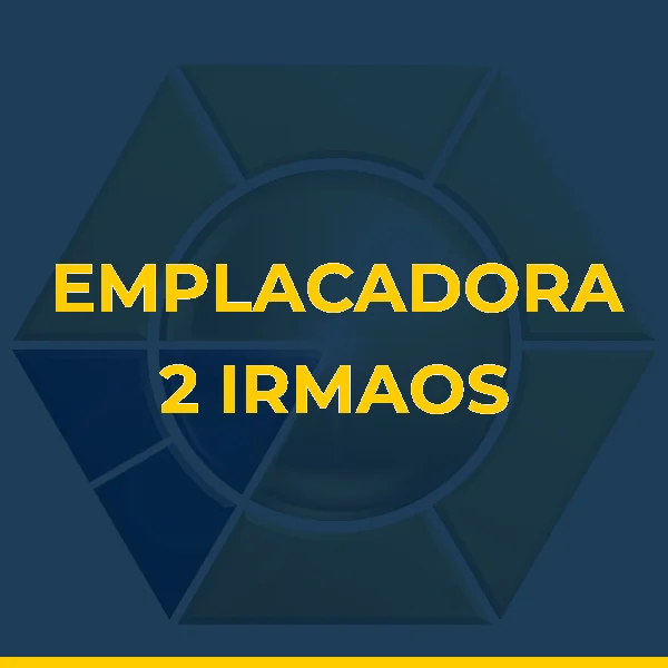 Logo de EMPLACADORA 2 IRMAOS LTDA