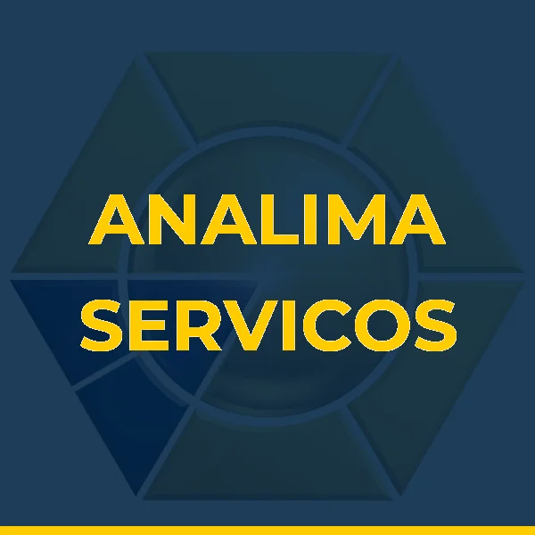 Logo de A & L SERVICOS DE APOIO ADMINISTRATIVO E CONSULTORIA LTDA
