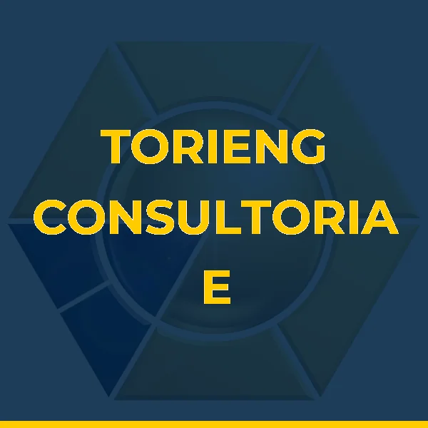 Logo de TORIENG CONSULTORIA E PROJETOS LTDA