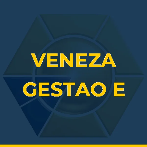 Logo de VENEZA GESTAO E SERVICOS ADMINISTRATIVOS LTDA