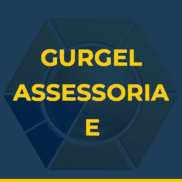 Logo de GURGEL ASSESSORIA E CONSULTORIA LTDA