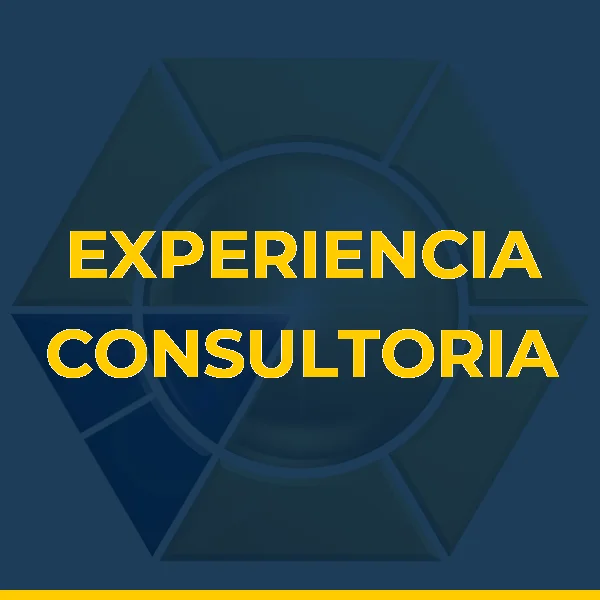 Logo de EXPERIENCIA CONSULTORIA LTDA