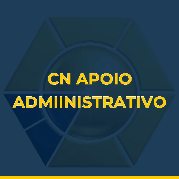 Logo de C N VIEIRA DE SOUZA