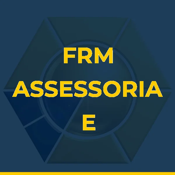 Logo de FRM ASSESSORIA E CONSULTORIA EMPRESARIA LTDA
