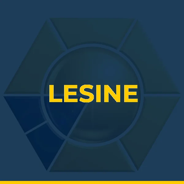 Logo de LESINE LTDA