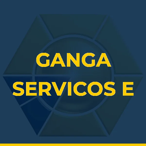 GANGA SERVICOS E EMPREENDIMENTOS