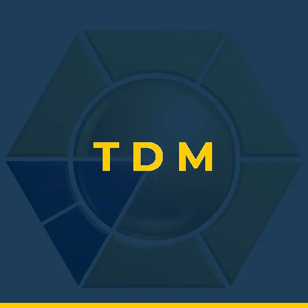 T D M COMERCIO E REPRESENTACOES LTDA