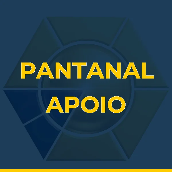 Logo de PANTANAL APOIO OPERACIONAL LTDA